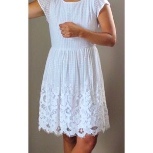 NWT Loft Lace Dress size 0